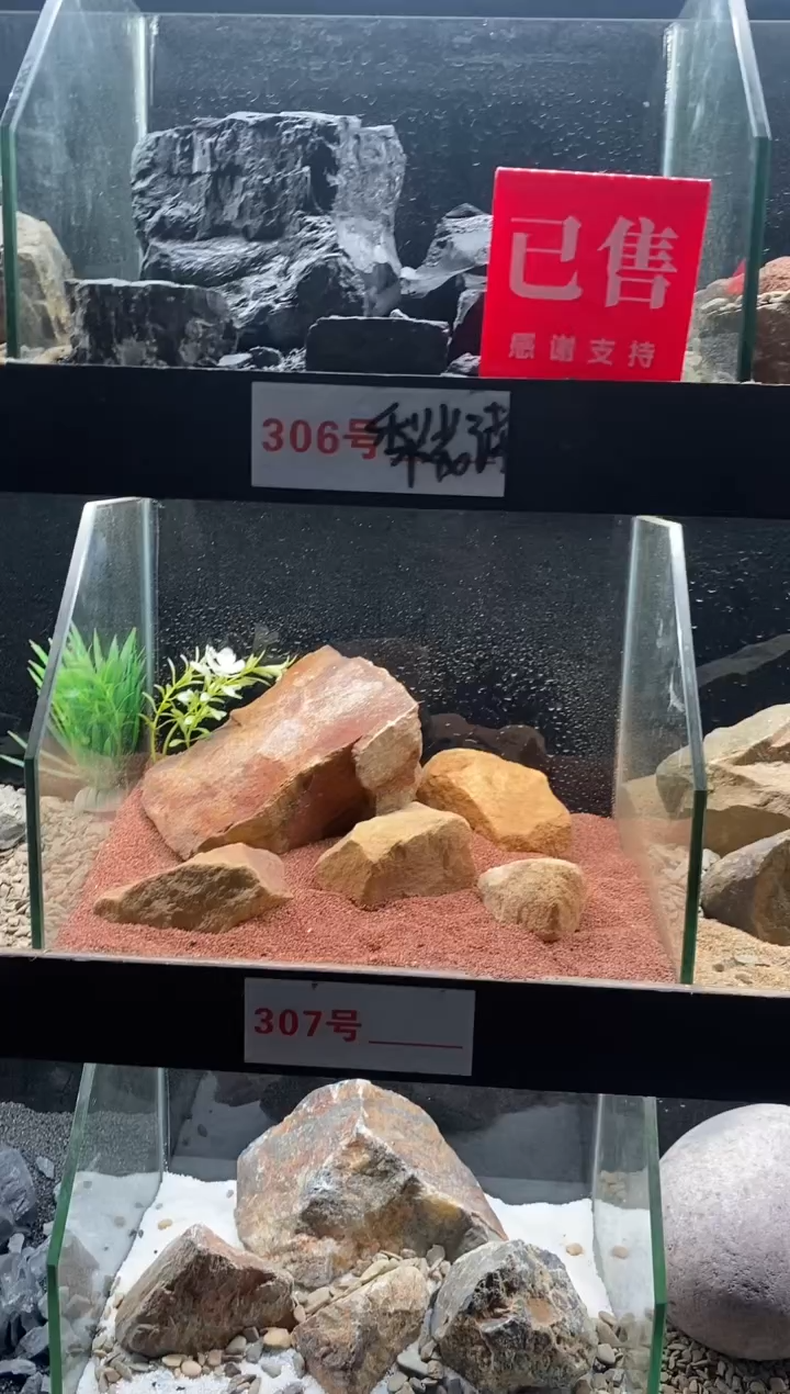 307号鱼缸造景（不含底砂）
