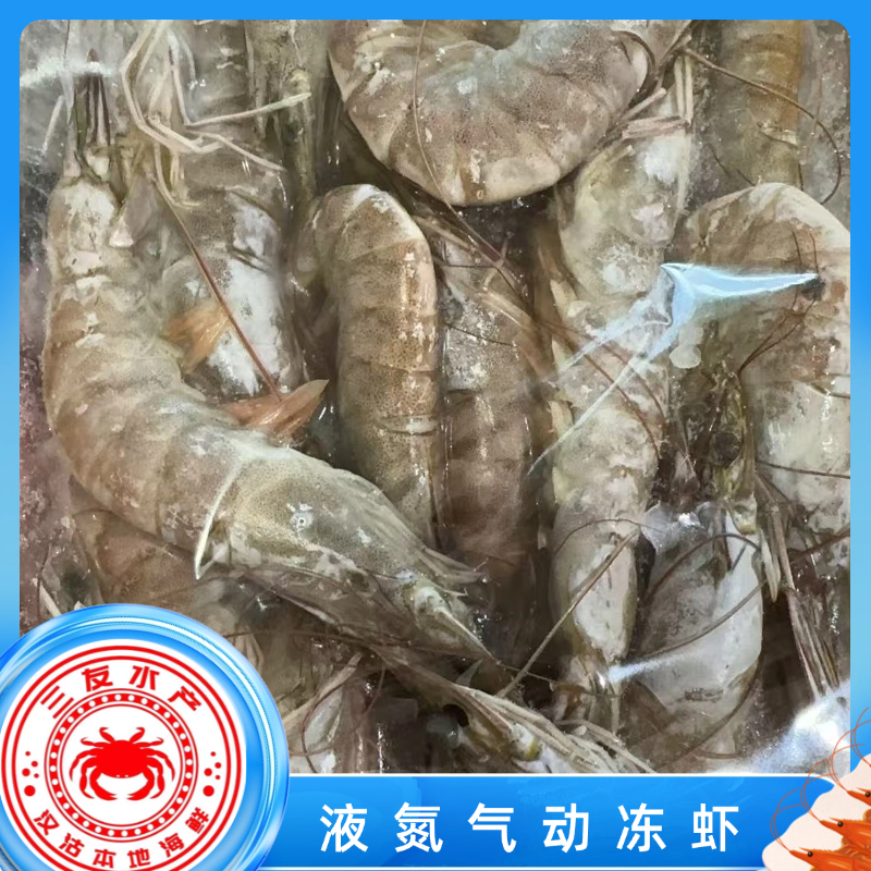 【三友汪子虾】液氮气动冻盐田汪子虾