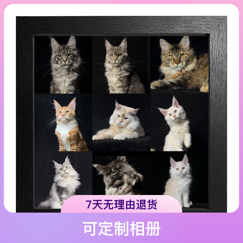 喵堡各种颜色缅因宝贝相册定制！各种颜色的相册！（拍前联系客服）
