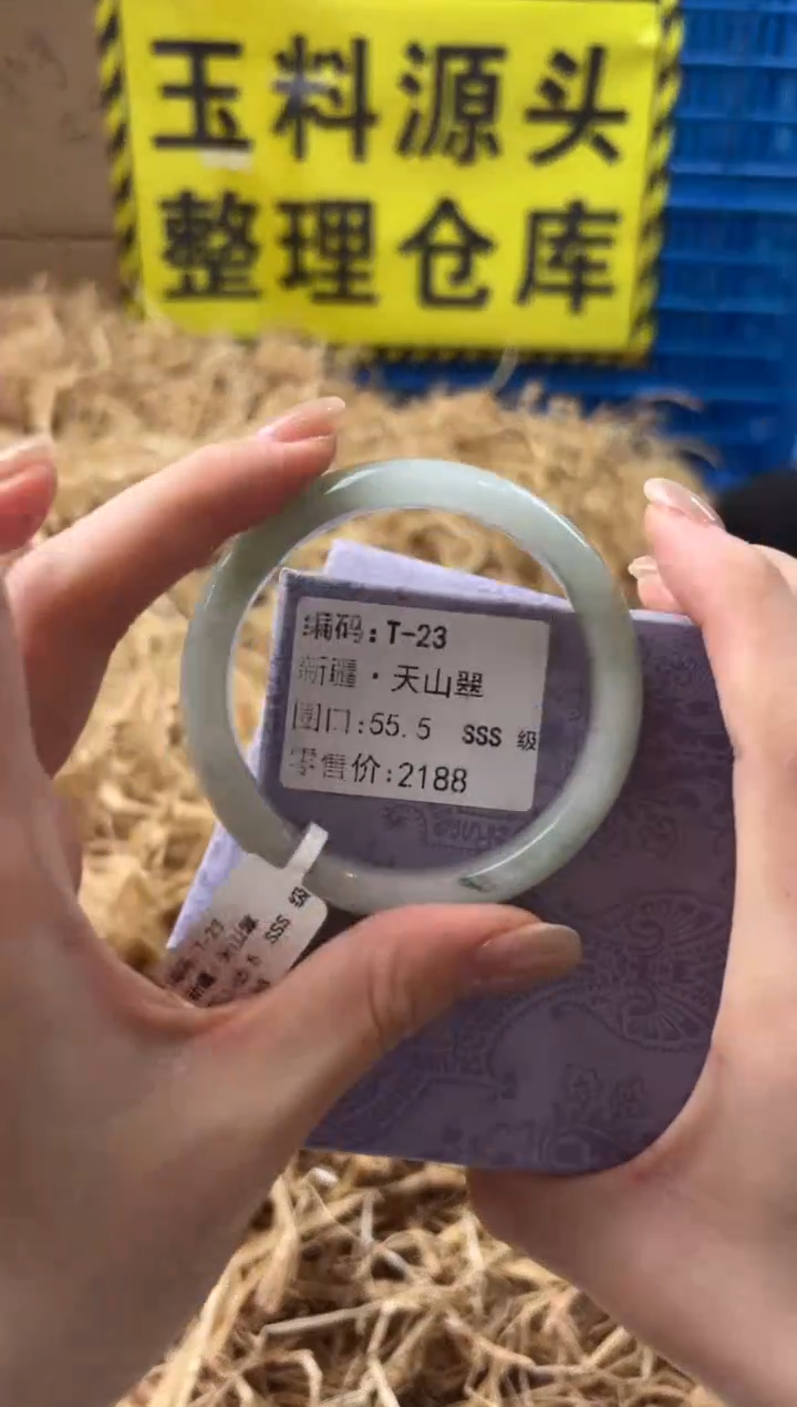 未镶嵌手镯石英质玉T-23