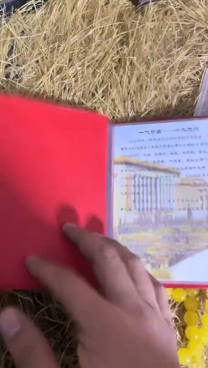 材料直播间所见即所得11114543