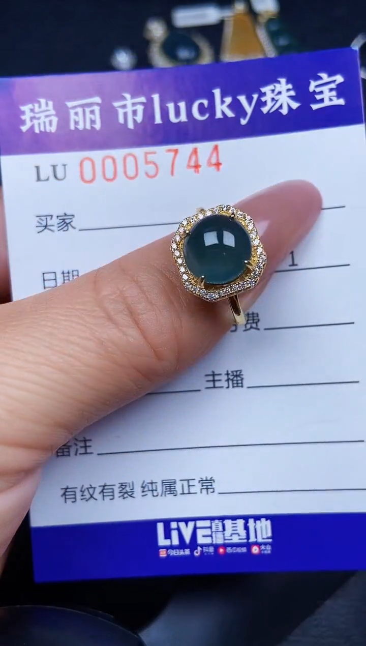 翡翠银S925镶嵌颈饰5744