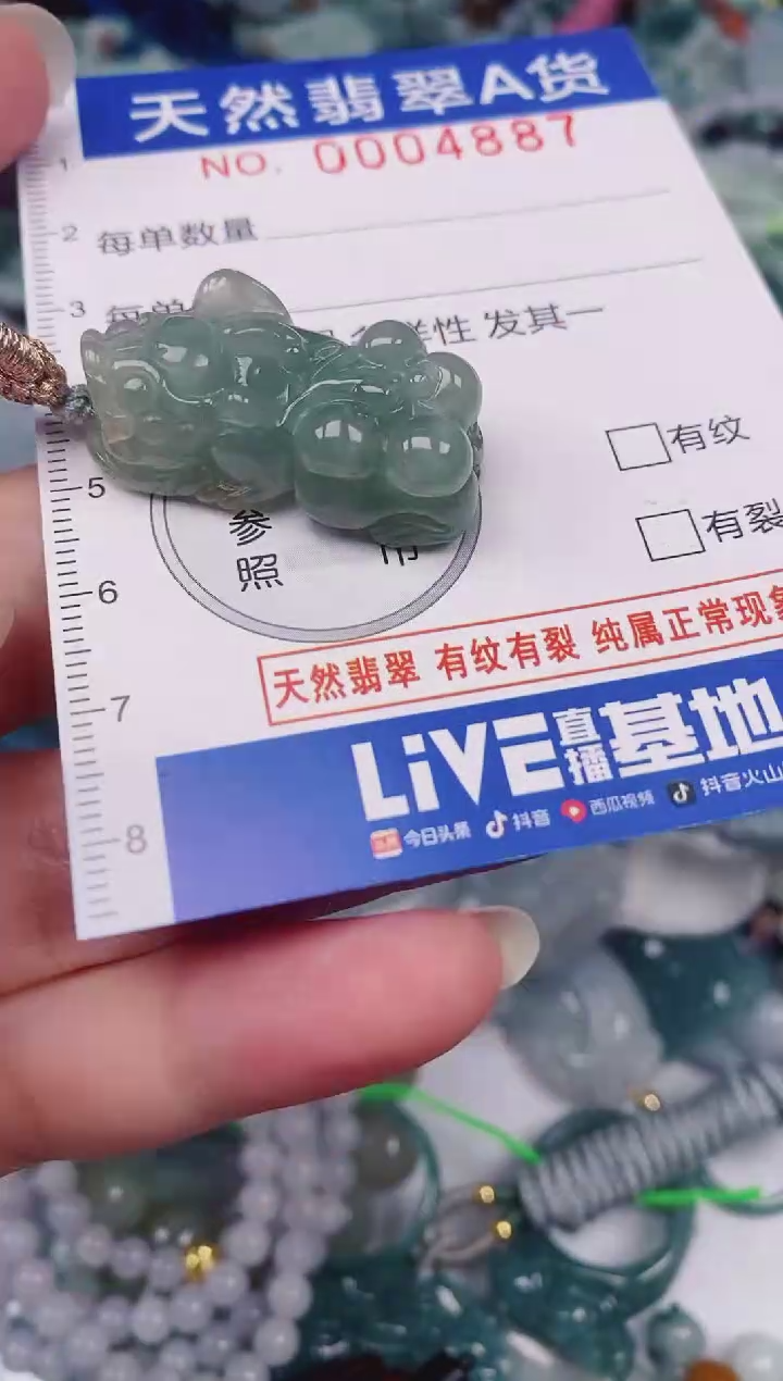 颈饰未镶嵌翡翠00004887