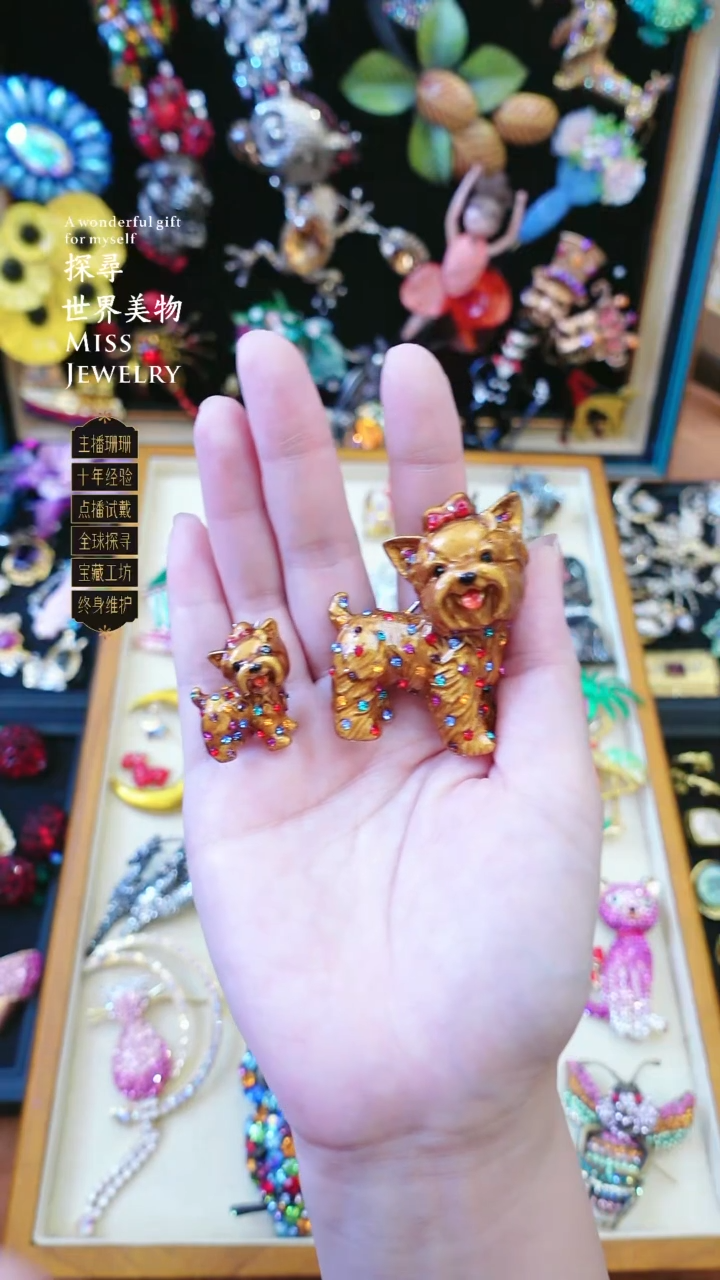 大小姐直播间bw胸针