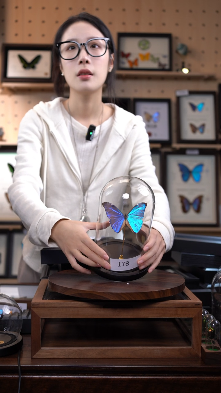 黎明闪蝶玻璃罩款i78