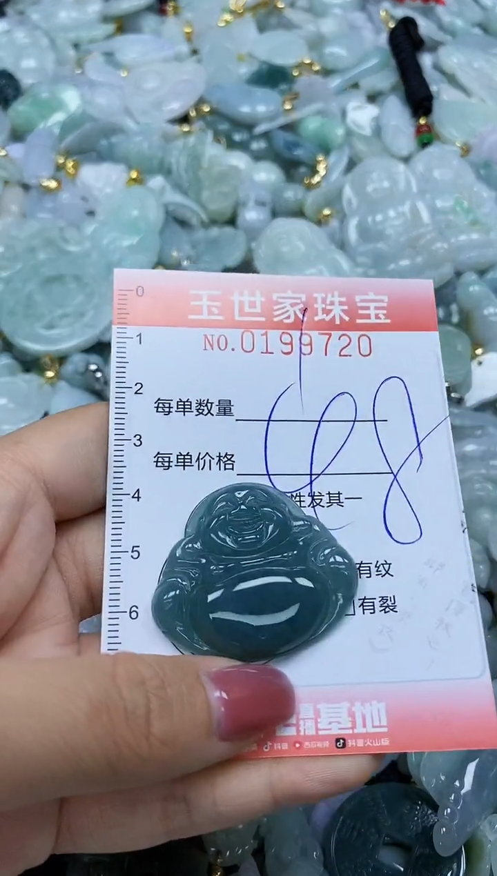 【闪购商品】翡翠颈饰未镶嵌闪购0199720