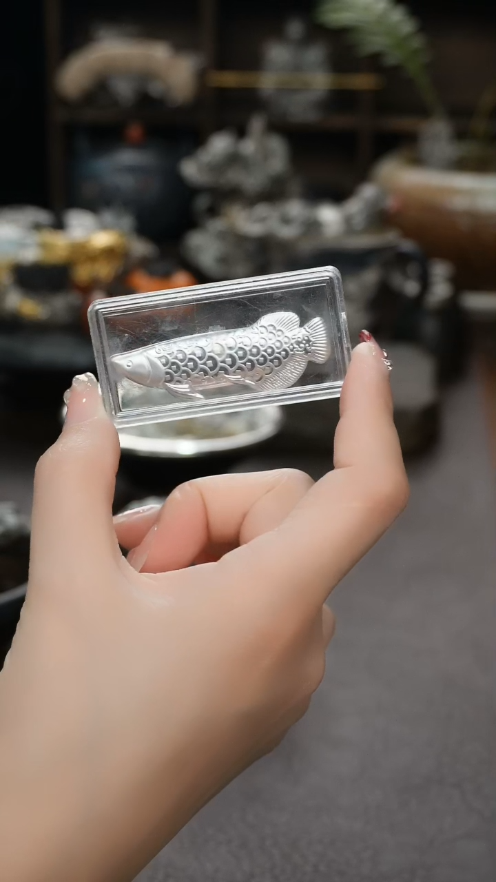 【闪购商品】银龙鱼煮水银片茶周边