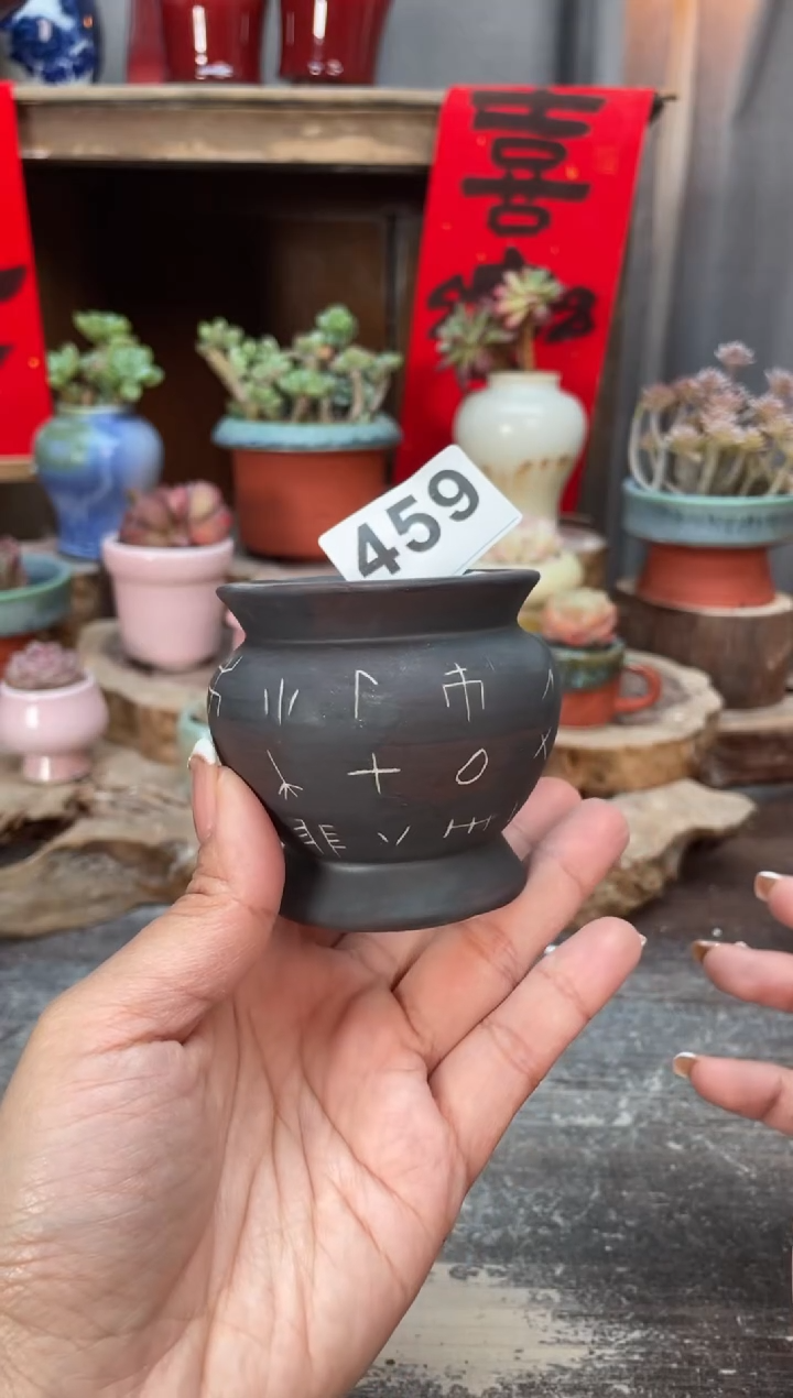 【闪购商品】摆件459知木小芳花盆