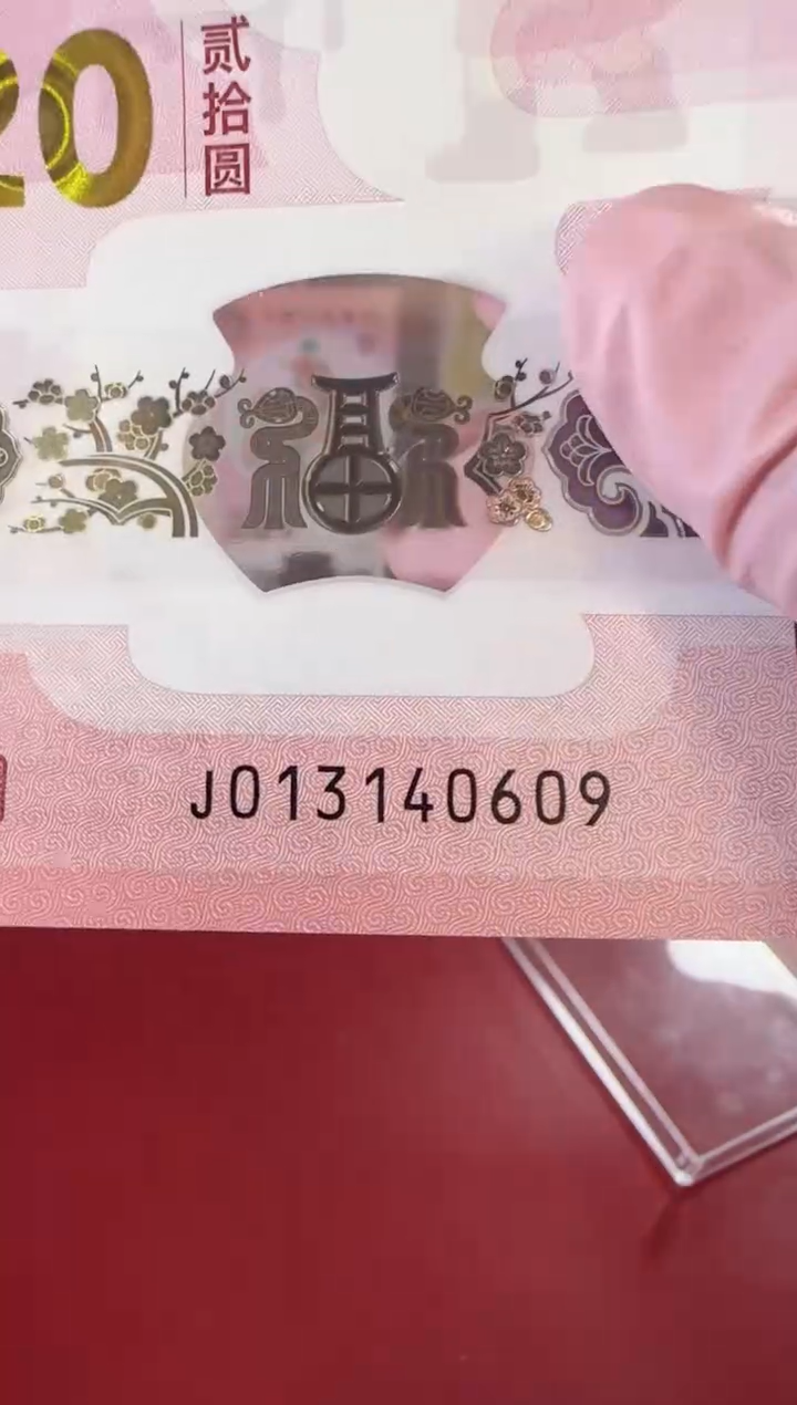【闪购商品】塑料2025蛇钞单张裸啊啊啊啊啊
