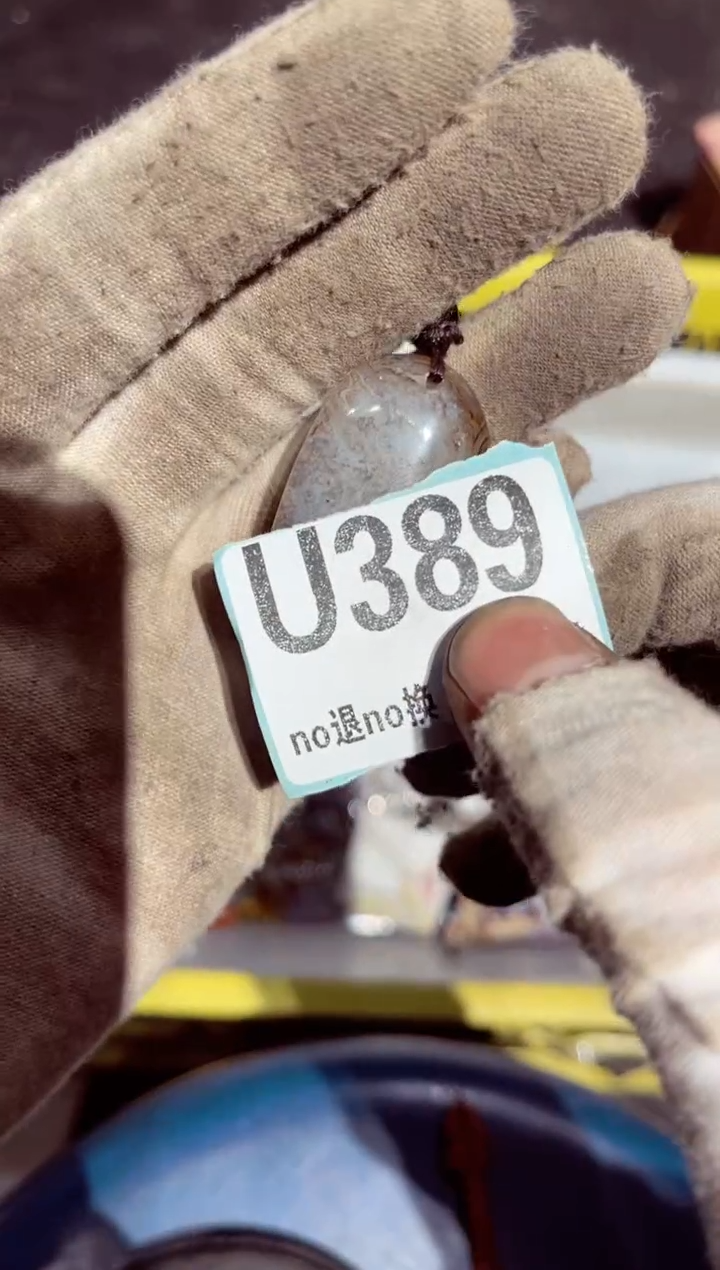 【闪购商品】瓷片瓷片瓷片瓷片瓷片