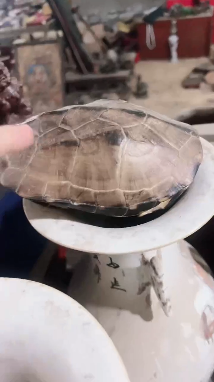 【闪购商品】紫砂茶杯紫砂紫砂紫砂紫砂