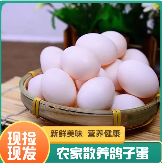 鸽蛋 新鲜 现捡 谷物 喂养营养 丰富 适合 孕妇 月子 鸽子蛋