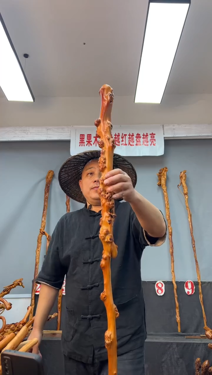 【闪购商品】黑果木其他黑果木221