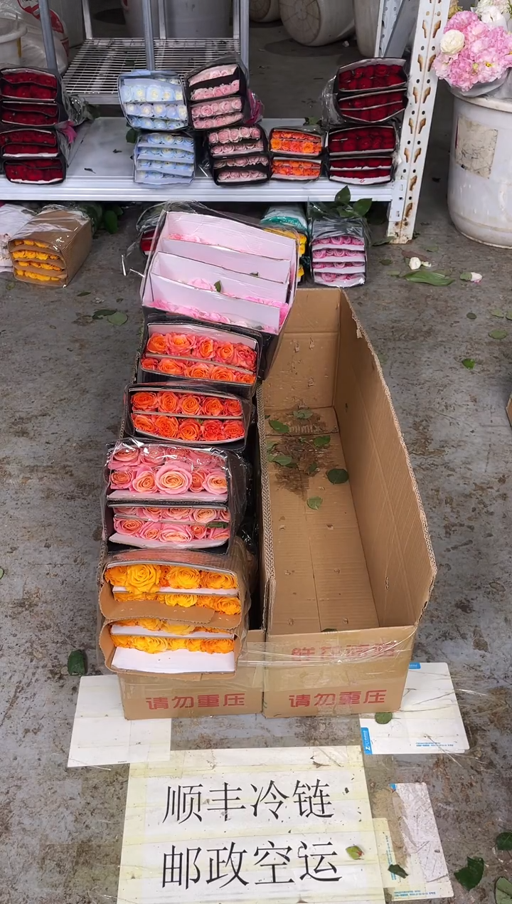 金色海岸20枝+朱小姐20枝+火灵鸟20枝+洛神20枝