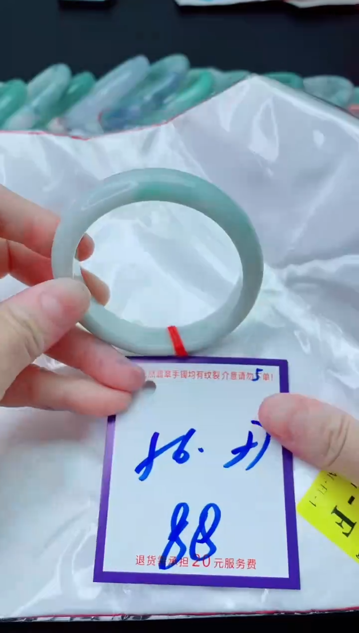 未镶嵌手镯翡翠11111111