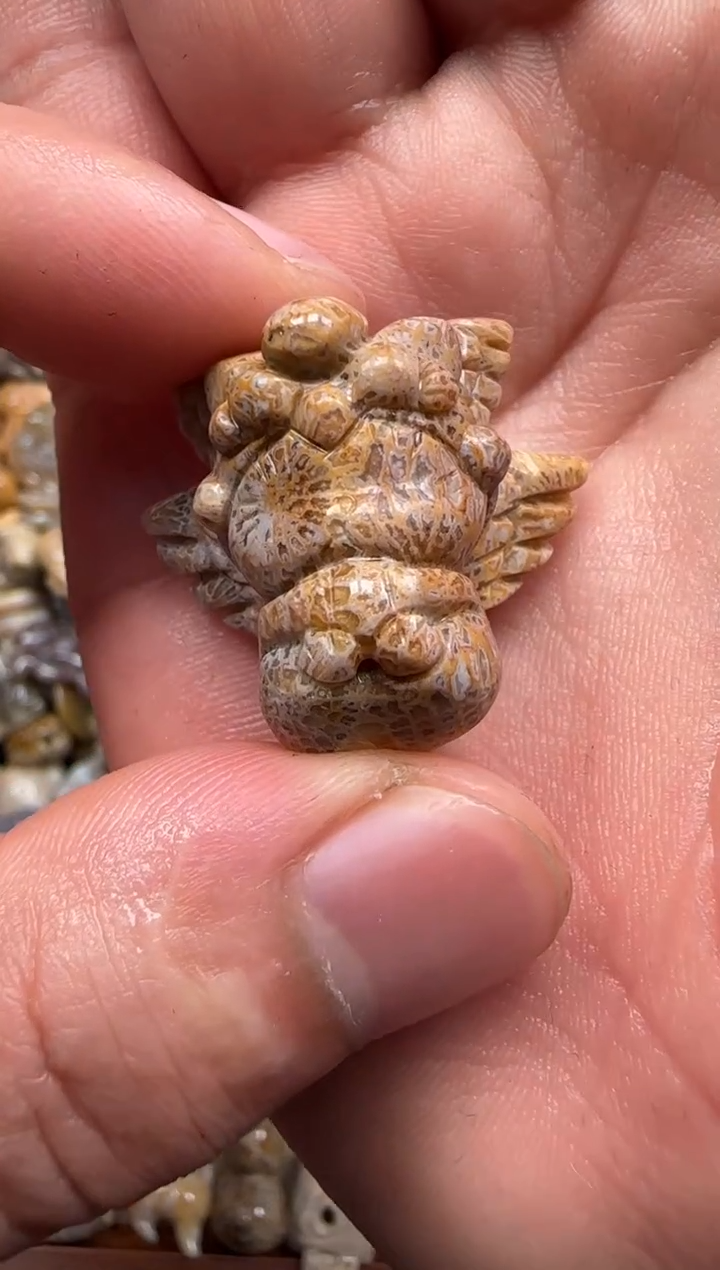 【闪购商品】硅化珊瑚（珊瑚玉）颈饰未镶嵌729