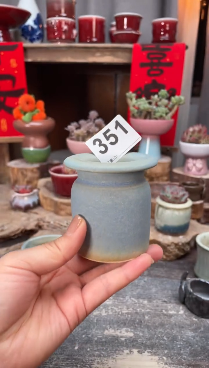 【闪购商品】摆件351知木小芳花盆