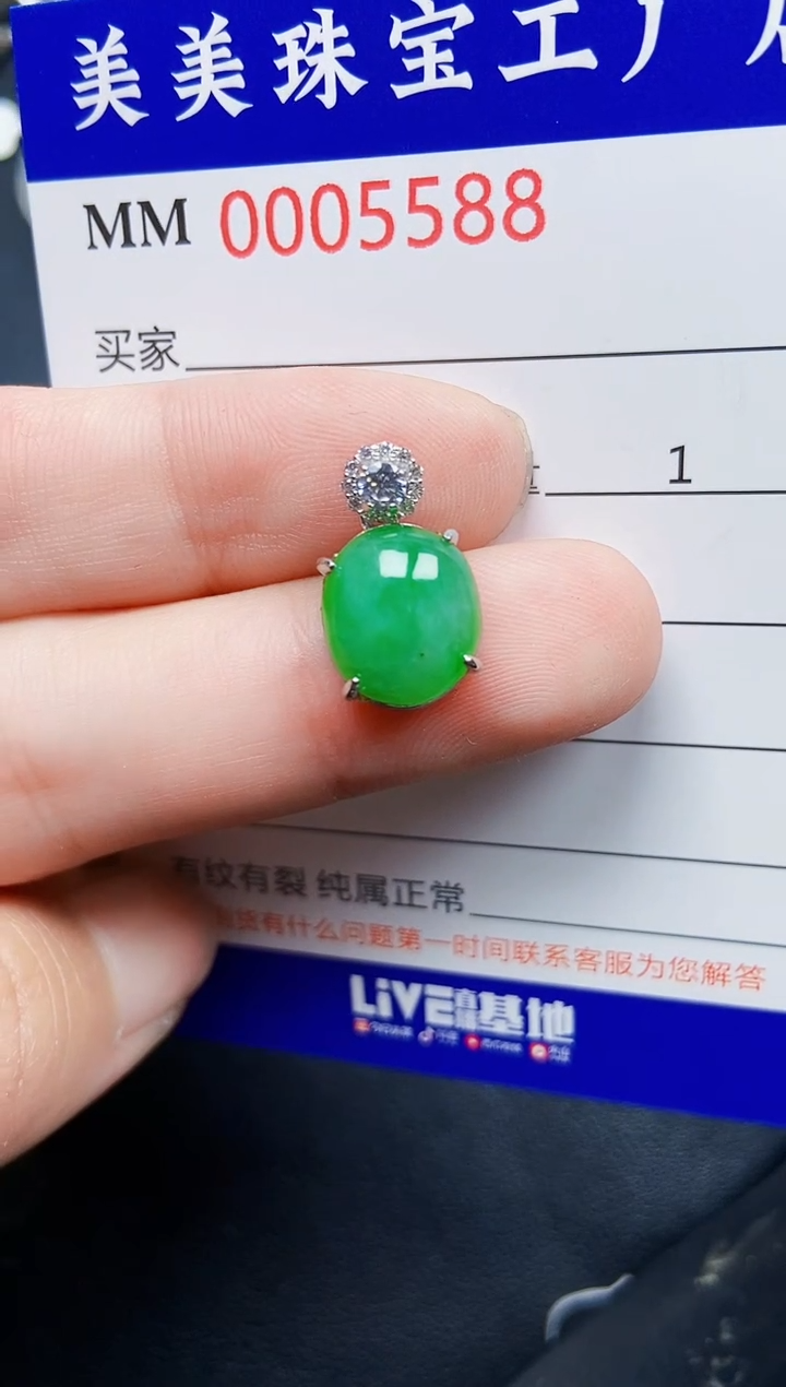 翡翠银S925镶嵌颈饰5588