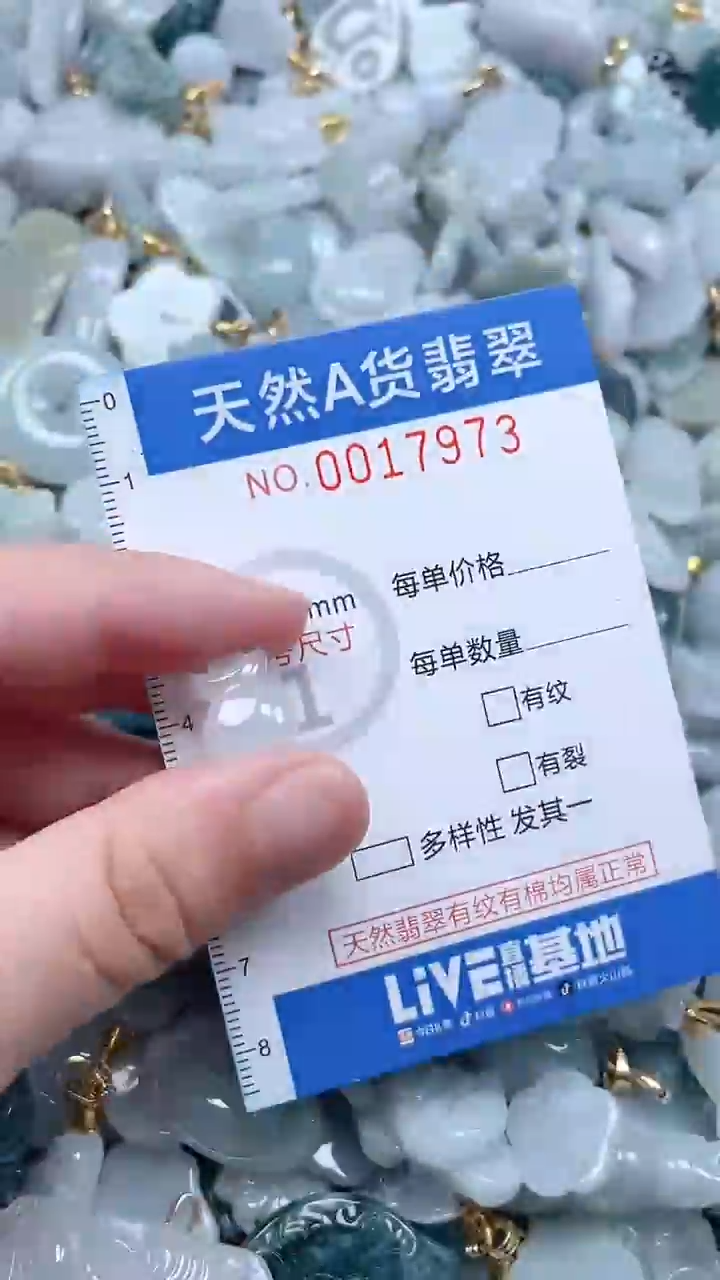 翡翠未镶嵌吊坠(不含链)1
