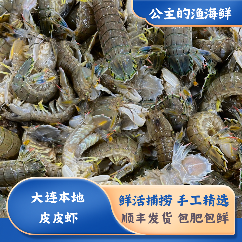 王牌旅顺黄龙尾超大虾爬，11条左右/斤【2斤起拍】保肥保鲜不包活