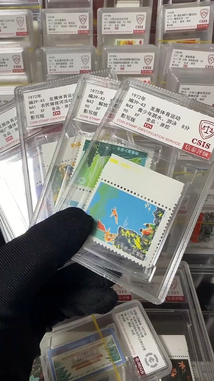 体育                 