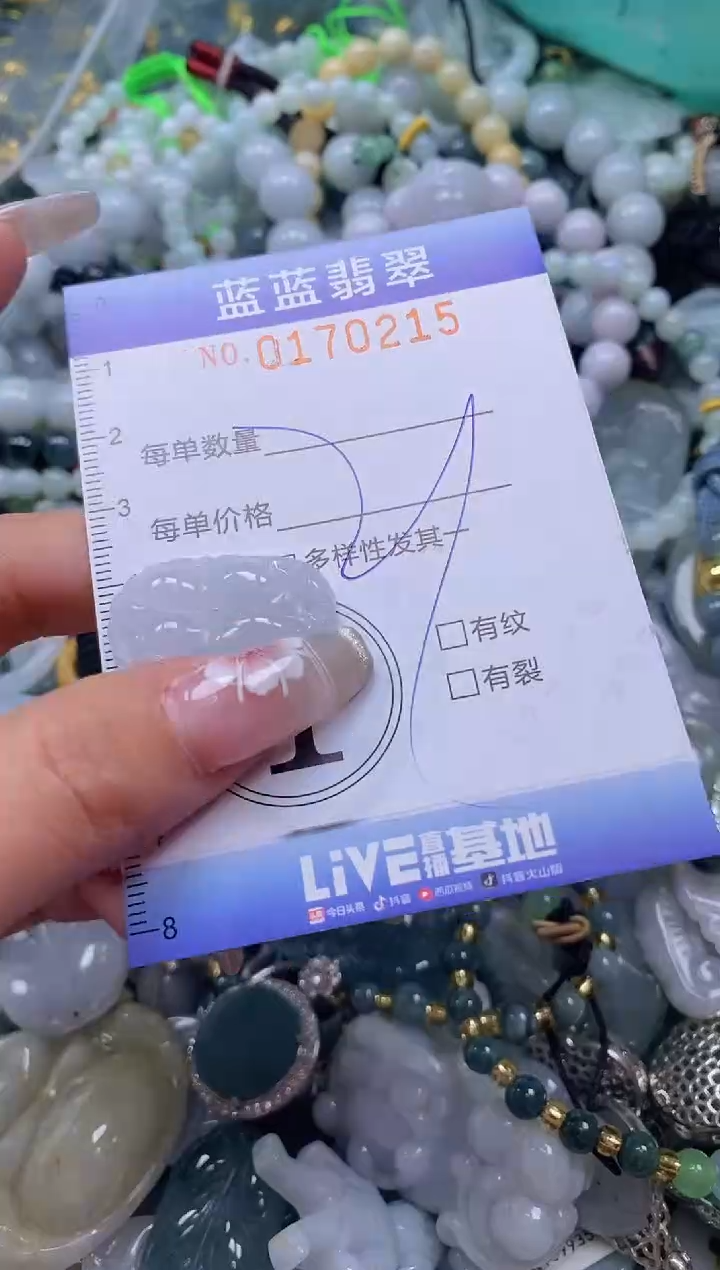 【闪购商品】翡翠颈饰未镶嵌闪购0170215