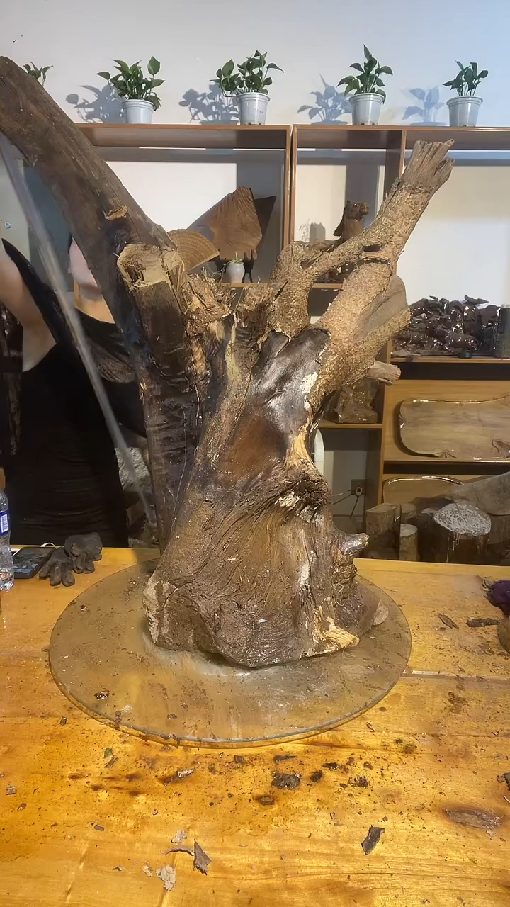 金丝楠阿祥金丝楠闪购链接