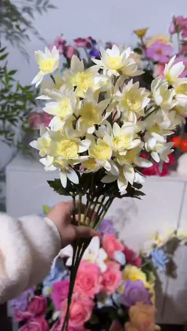 3枝白色手感保湿星芹花
