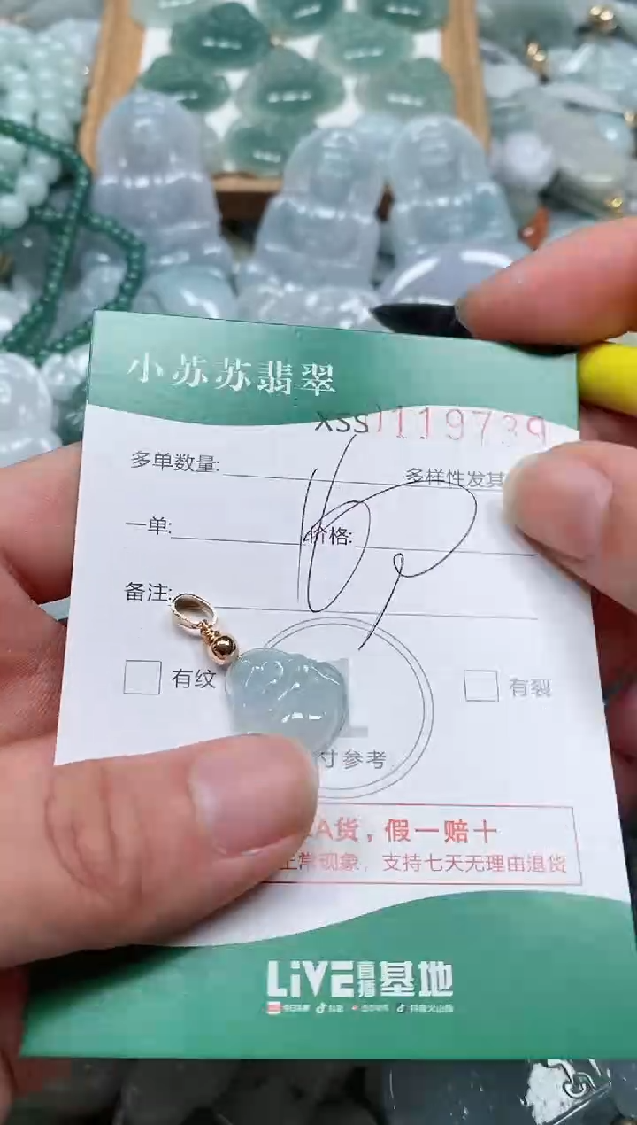 【闪购商品】翡翠颈饰未镶嵌闪购商品0119739