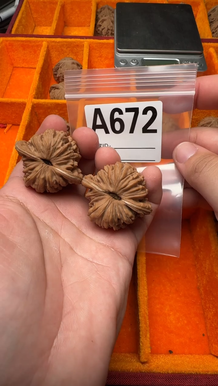 吊坠文玩核桃秦皇楼41-A672