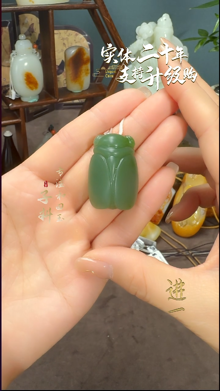 颈饰未镶嵌和田玉碧玉蝉挂件 