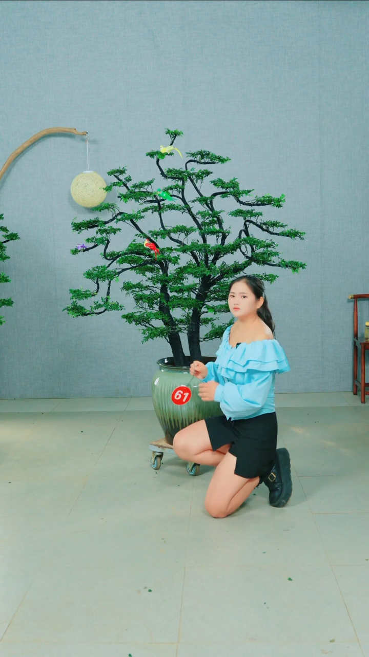 无花朵抖*广东小叶紫檀