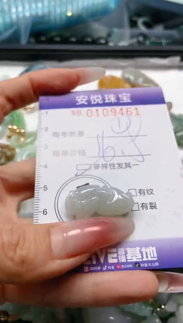 【闪购商品】翡翠颈饰未镶嵌闪购0109461多样性发其一