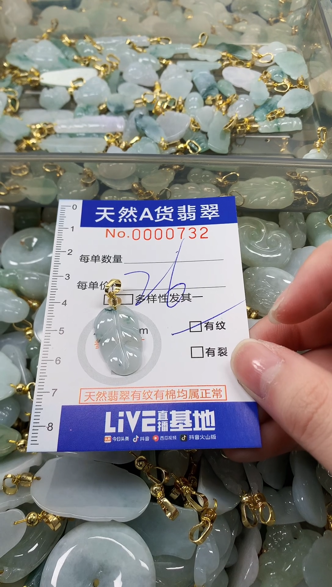 颈饰未镶嵌翡翠天然a货翡翠