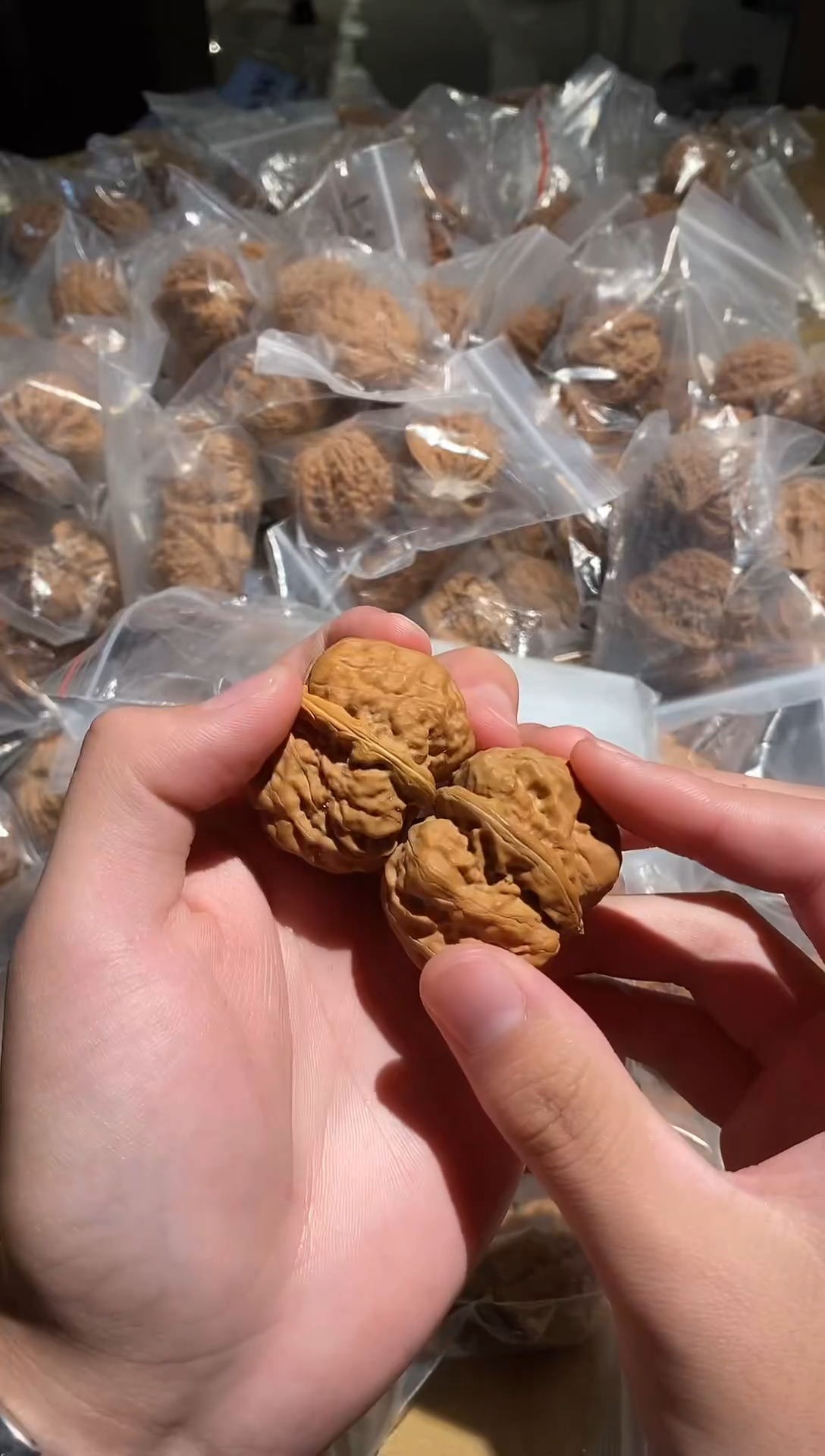 手串/手链核桃38高炮南疆原产高山非嫁接，毕业级别