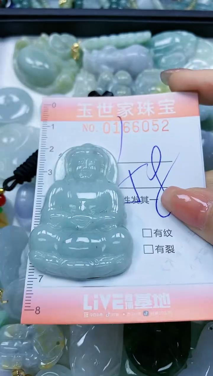 【闪购商品】翡翠颈饰未镶嵌闪购0166052