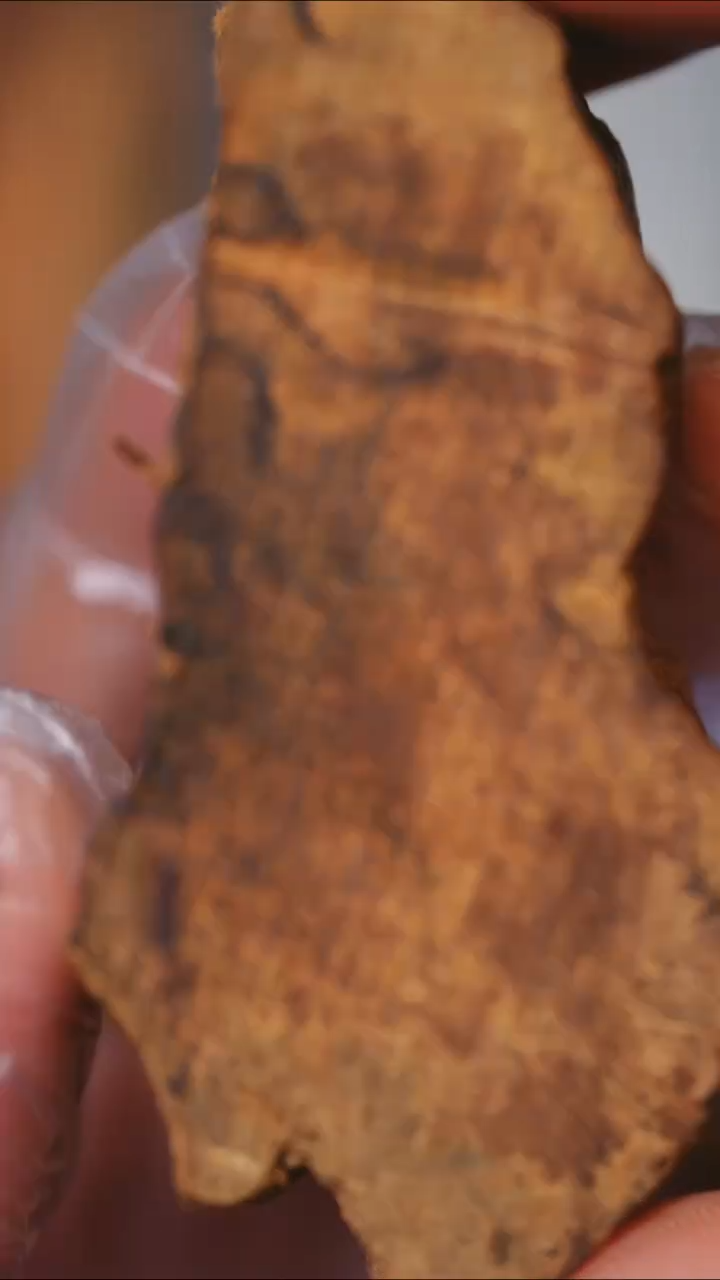 【闪购商品】沉香沉香碎屑柬埔寨奇楠种18g+