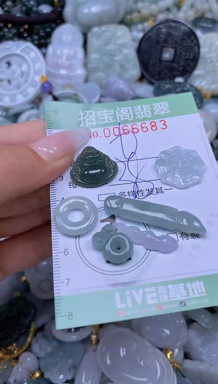 【闪购商品】翡翠未镶嵌颈饰闪购0066683