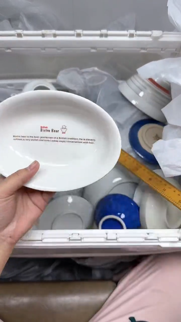 【闪购商品】579回流瓷器默认微瑕，18.8包邮