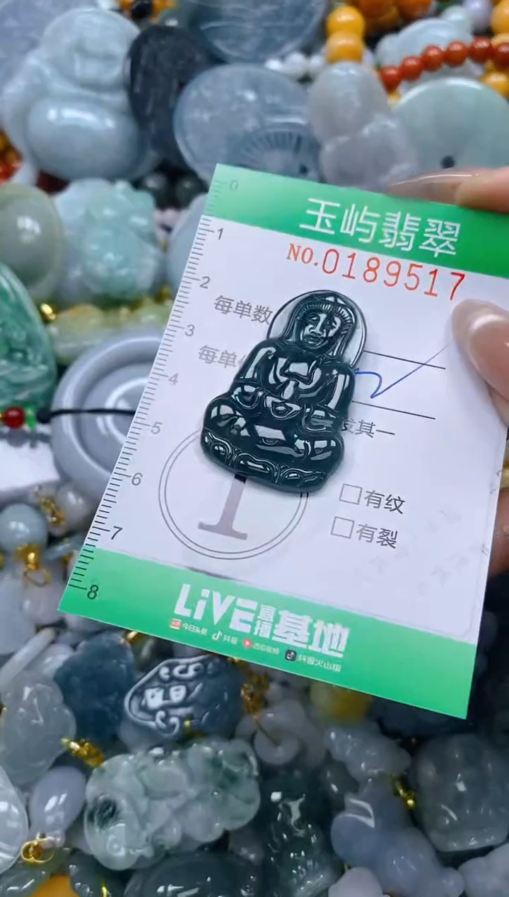 翡翠未镶嵌颈饰闪购0189517