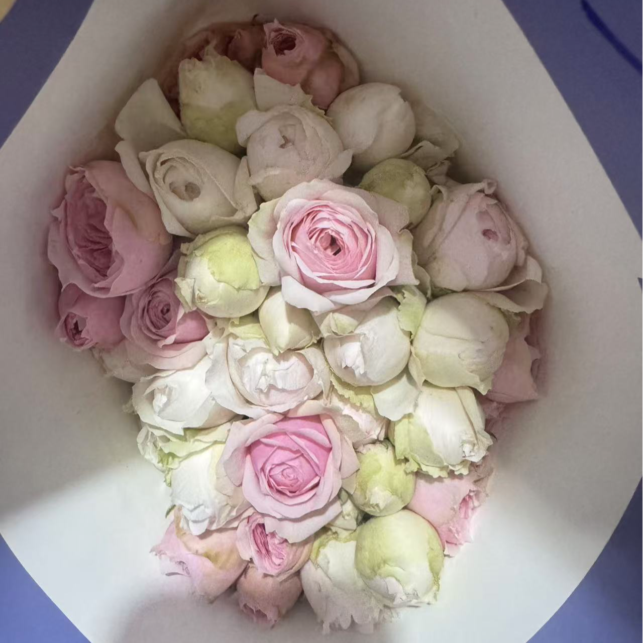 【俏夕阳稀有混多】稀有多头玫瑰玖枝花优选云南基地直发鲜切花儿