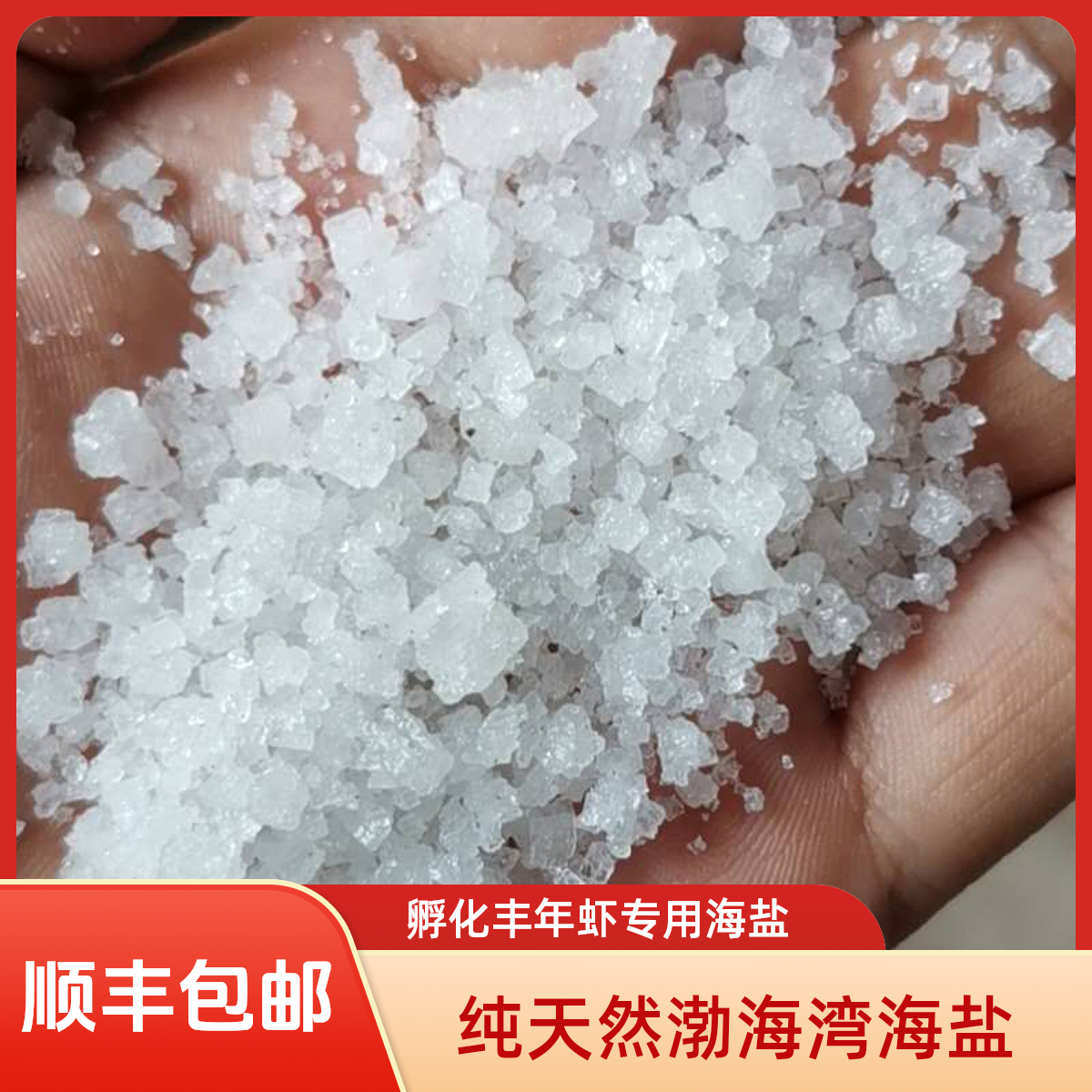 孵化丰年虾卵专用渤海湾盐田海盐小颗粒海盐勾兑盐水必备顺丰包邮