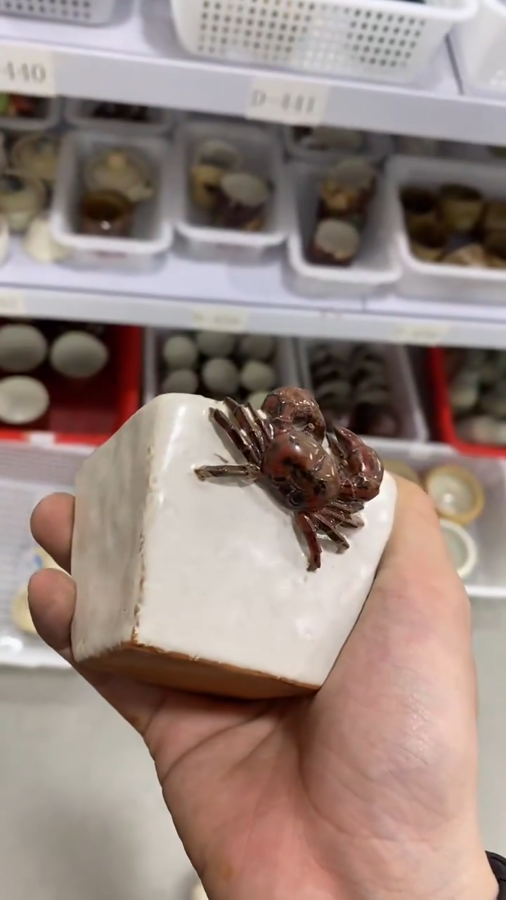 瓷片陶瓷茶具茶器