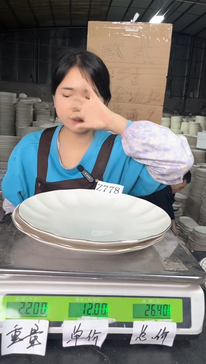 【闪购商品】搪瓷Z778  10.5寸  2个