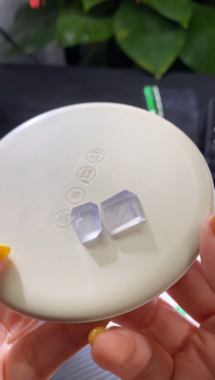 【闪购商品】翡翠挂件未镶嵌两件随形