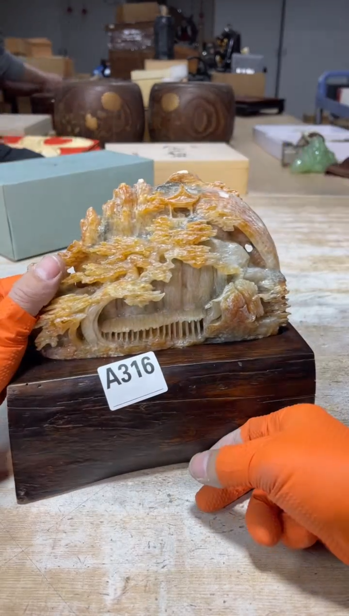 直播定闪专用链接真*直播定闪专用链接888