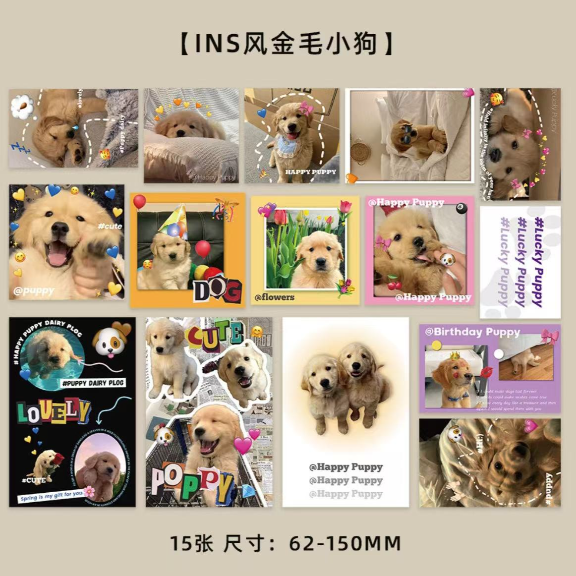 狗狗明信片ins风室内贴墙