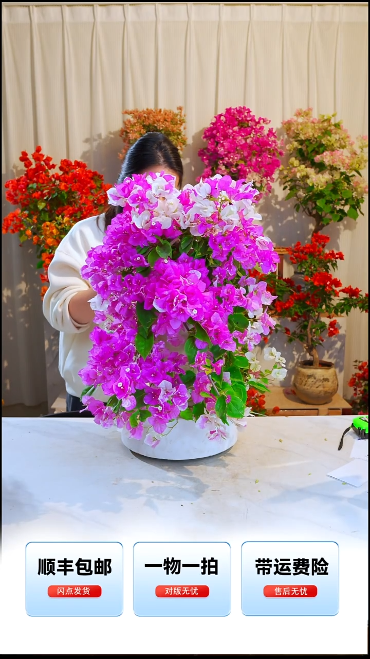 大部分开放少量花苞章红樱