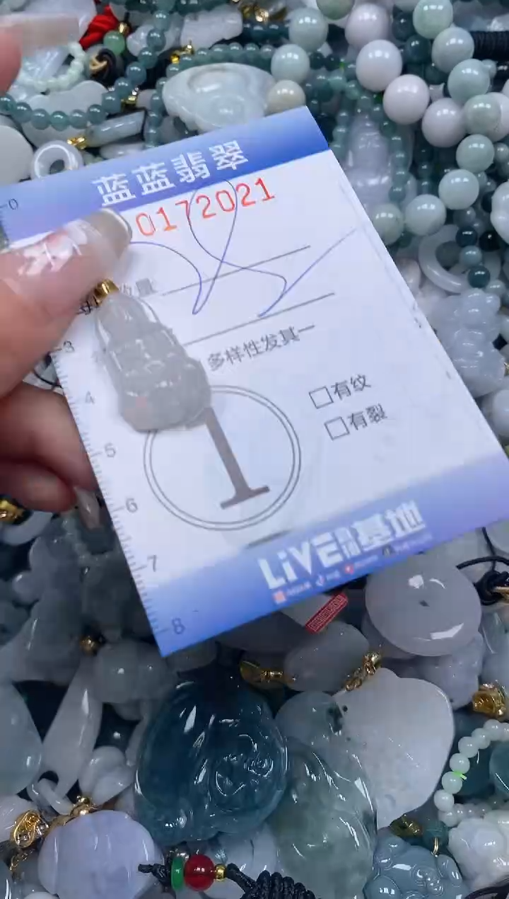 【闪购商品】翡翠颈饰未镶嵌闪购0172021