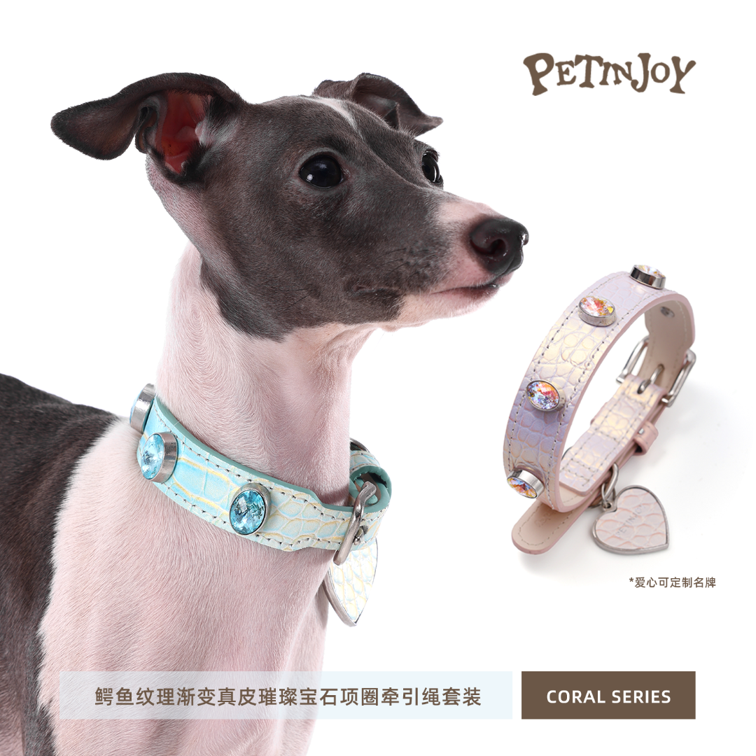 宠享趣Petinjoy Coral系列鳄鱼纹真皮宝石项圈牵引绳大中小型犬猫